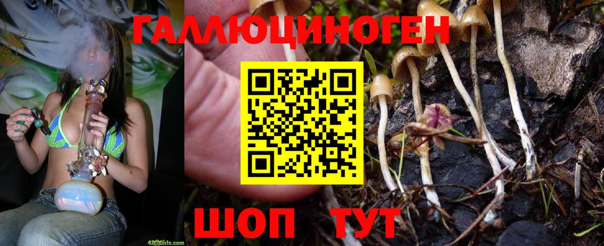 Псилоцибиновые грибы Cubensis  Галлюциногенные грибы прущие грибы  Вход с VPN  Клин 